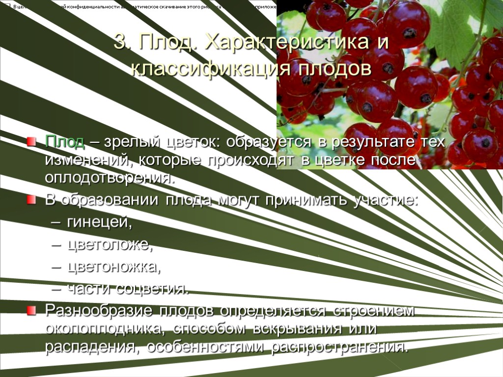 3. Плод. Характеристика и классификация плодов Плод – зрелый цветок: образуется в результате тех